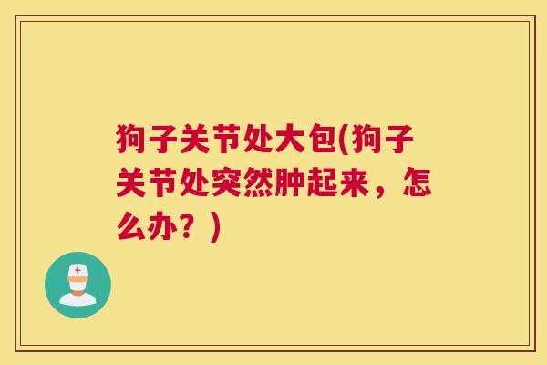 狗子关节处大包(狗子关节处突然肿起来,怎么办?)