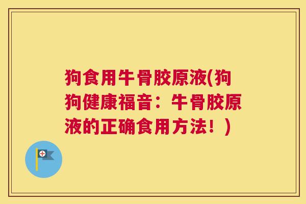 狗食用牛骨胶原液(狗狗健康福音:牛骨胶原液的正确食用方法!)