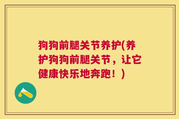 狗狗前腿关节养护(养护狗狗前腿关节,让它健康快乐地奔跑!)