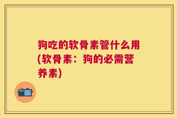 狗吃的软骨素管什么用(软骨素：狗的必需营养素)
