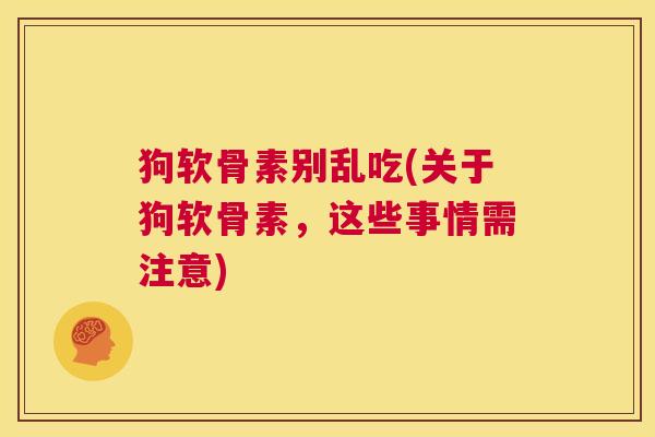 狗软骨素别乱吃(关于狗软骨素,这些事情需注意)