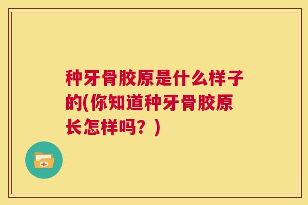 种牙骨胶原是什么样子的(你知道种牙骨胶原长怎样吗？)