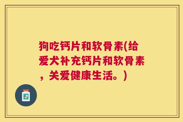 狗吃钙片和软骨素(给爱犬补充钙片和软骨素，关爱健康生活。)