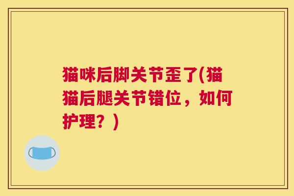 猫咪后脚关节歪了(猫猫后腿关节错位,如何护理?)