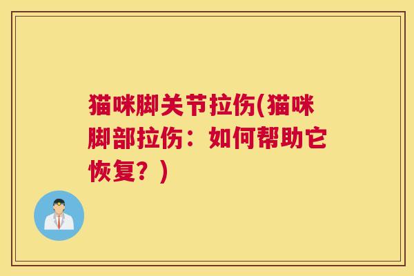 猫咪脚关节拉伤(猫咪脚部拉伤:如何帮助它恢复?)
