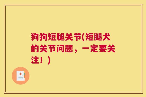 狗狗短腿关节(短腿犬的关节问题,一定要关注!)