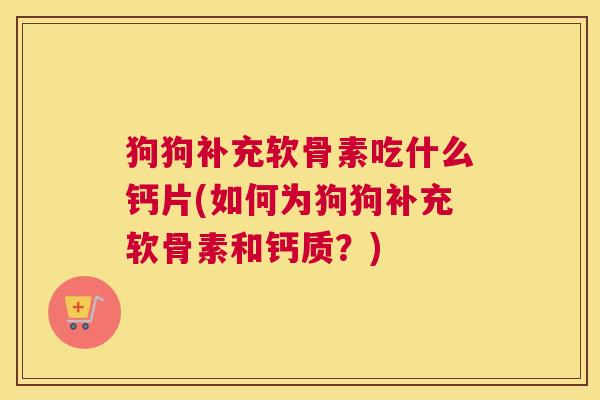 狗狗补充软骨素吃什么钙片(如何为狗狗补充软骨素和钙质?)