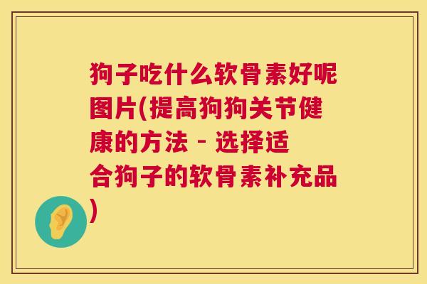 狗子吃什么软骨素好呢图片(提高狗狗关节健康的方法 - 选择适合狗子的软骨素补充品)