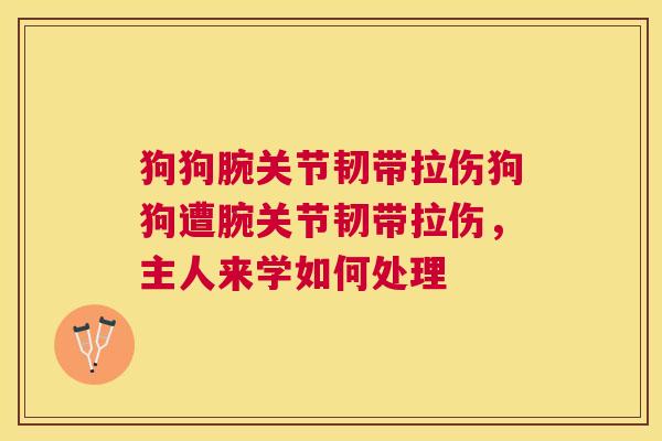 狗狗腕关节韧带拉伤狗狗遭腕关节韧带拉伤，主人来学如何处理