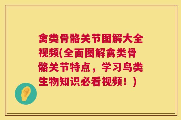 禽类骨骼关节图解大全视频(全面图解禽类骨骼关节特点,学习鸟类生物知识必看视频!)