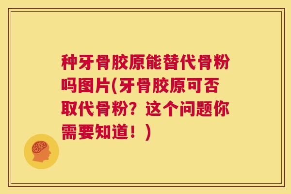 种牙骨胶原能替代骨粉吗图片(牙骨胶原可否取代骨粉?这个问题你需要知道!) 种牙骨胶原能替代骨粉吗图片(牙骨胶原可否取代骨粉?这个问题你需要知道!)