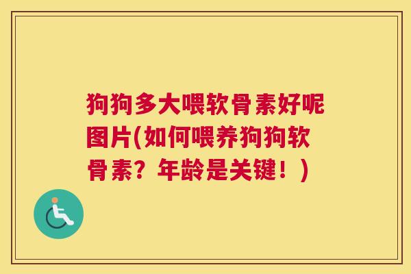 狗狗多大喂软骨素好呢图片(如何喂养狗狗软骨素?年龄是关键!) 狗狗多大喂软骨素好呢图片(如何喂养狗狗软骨素?年龄是关键!)