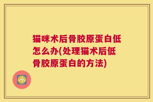 猫咪术后骨胶原蛋白低怎么办(处理猫术后低骨胶原蛋白的方法)