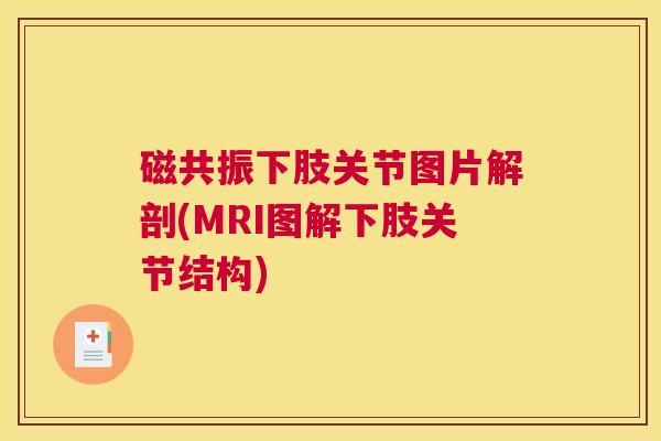 磁共振下肢关节图片解剖(MRI图解下肢关节结构)