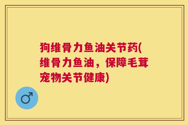 狗维骨力鱼油关节药(维骨力鱼油,保障毛茸宠物关节健康)