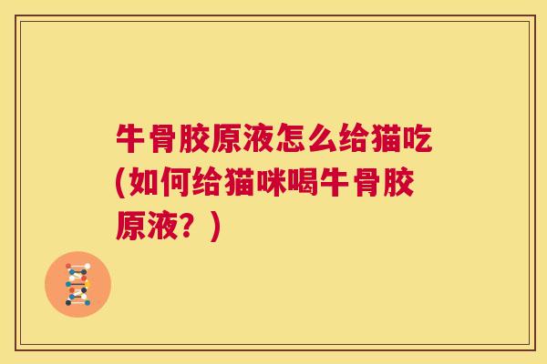 牛骨胶原液怎么给猫吃(如何给猫咪喝牛骨胶原液？)