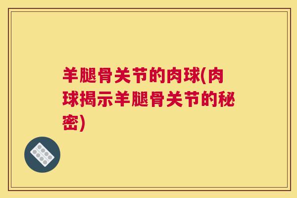 羊腿骨关节的肉球(肉球揭示羊腿骨关节的秘密) 羊腿骨关节的肉球(肉球揭示羊腿骨关节的秘密)