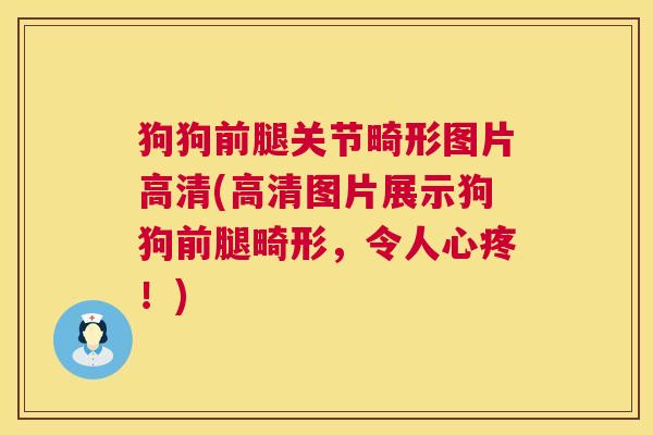 狗狗前腿关节畸形图片高清(高清图片展示狗狗前腿畸形,令人心疼!) 狗狗前腿关节畸形图片高清(高清图片展示狗狗前腿畸形,令人心疼!)