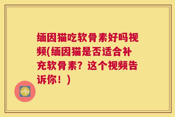 缅因猫吃软骨素好吗视频(缅因猫是否适合补充软骨素？这个视频告诉你！)