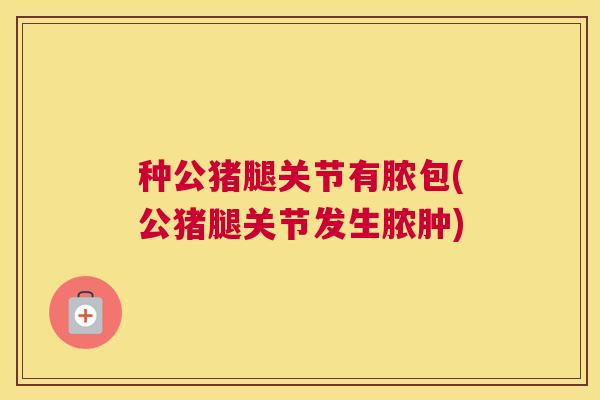 种公猪腿关节有脓包(公猪腿关节发生脓肿)