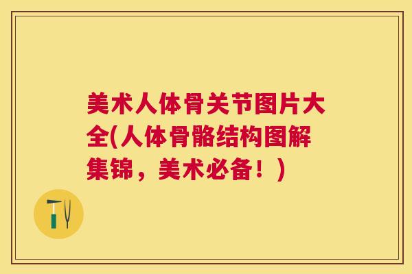 美术人体骨关节图片大全(人体骨骼结构图解集锦,美术必备!)