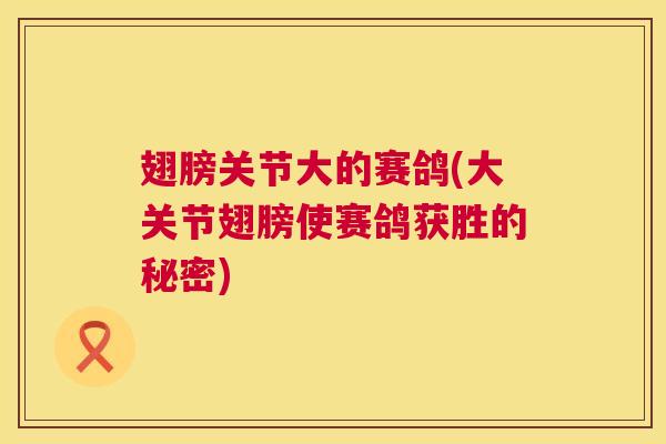 翅膀关节大的赛鸽(大关节翅膀使赛鸽获胜的秘密)
