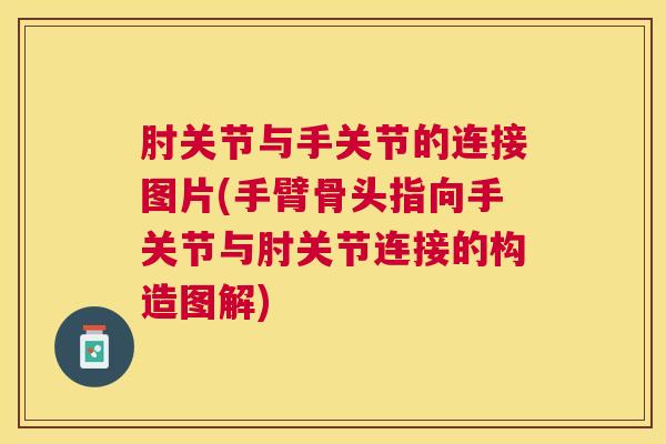 肘关节与手关节的连接图片(手臂骨头指向手关节与肘关节连接的构造图解)