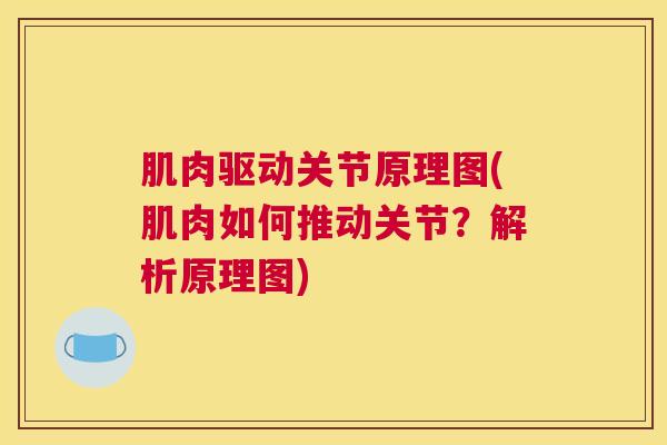 肌肉驱动关节原理图(肌肉如何推动关节？解析原理图)