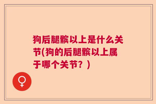 狗后腿髌以上是什么关节(狗的后腿髌以上属于哪个关节?)