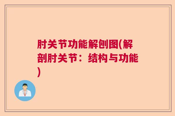 肘关节功能解刨图(解剖肘关节：结构与功能)