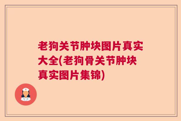 老狗关节肿块图片真实大全(老狗骨关节肿块真实图片集锦) 老狗关节肿块图片真实大全(老狗骨关节肿块真实图片集锦)