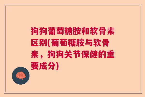 狗狗葡萄糖胺和软骨素区别(葡萄糖胺与软骨素,狗狗关节保健的重要成分)