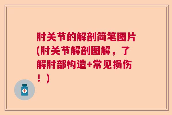 肘关节的解剖简笔图片(肘关节解剖图解,了解肘部构造+常见损伤!)