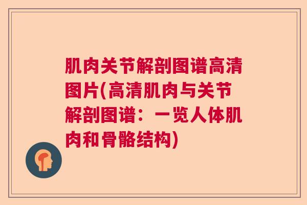肌肉关节解剖图谱高清图片(高清肌肉与关节解剖图谱：一览人体肌肉和骨骼结构)