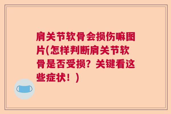 肩关节软骨会损伤嘛图片(怎样判断肩关节软骨是否受损?关键看这些症状!)