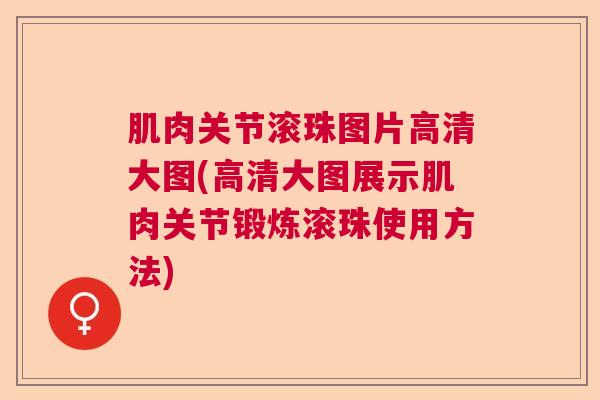 肌肉关节滚珠图片高清大图(高清大图展示肌肉关节锻炼滚珠使用方法)