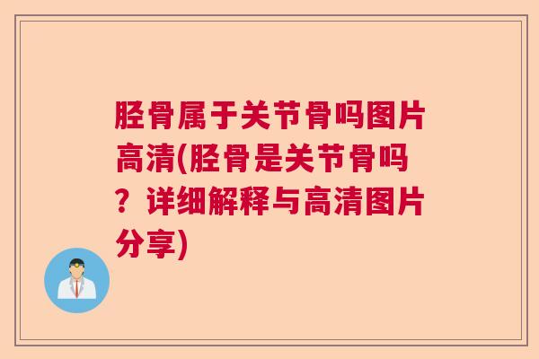 胫骨属于关节骨吗图片高清(胫骨是关节骨吗?详细解释与高清图片分享)