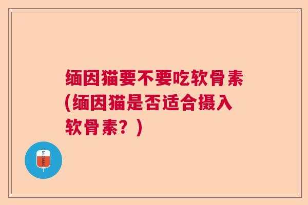 缅因猫要不要吃软骨素(缅因猫是否适合摄入软骨素?)