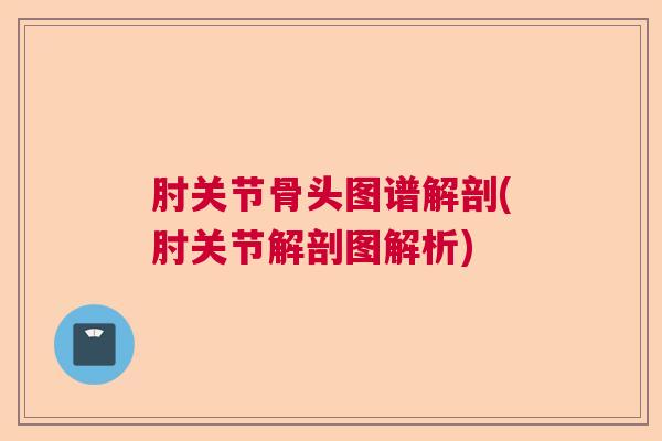肘关节骨头图谱解剖(肘关节解剖图解析)