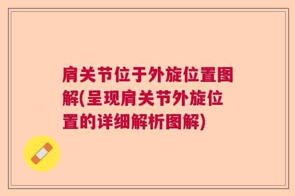 肩关节位于外旋位置图解(呈现肩关节外旋位置的详细解析图解)