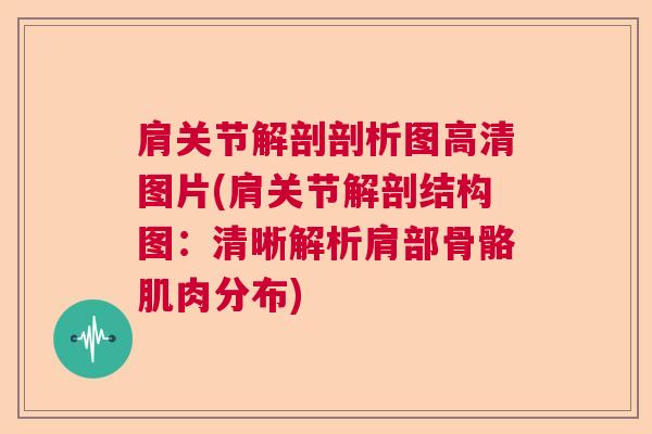 肩关节解剖剖析图高清图片(肩关节解剖结构图：清晰解析肩部骨骼肌肉分布)