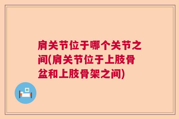 肩关节位于哪个关节之间(肩关节位于上肢骨盆和上肢骨架之间)