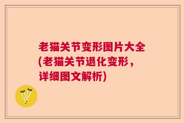 老猫关节变形图片大全(老猫关节退化变形，详细图文解析)