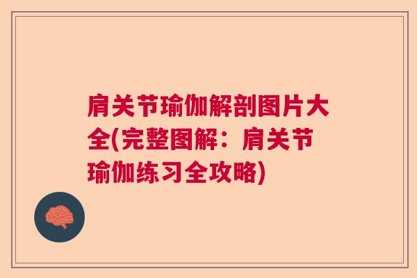 肩关节瑜伽解剖图片大全(完整图解:肩关节瑜伽练习全攻略)