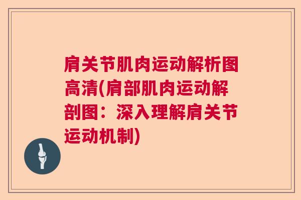 肩关节肌肉运动解析图高清(肩部肌肉运动解剖图:深入理解肩关节运动机制)