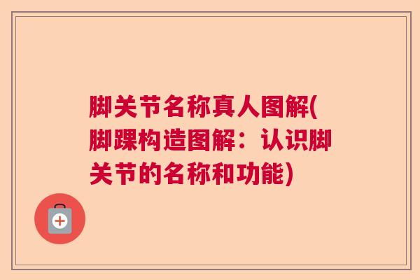 脚关节名称真人图解(脚踝构造图解：认识脚关节的名称和功能)