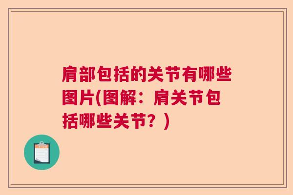 肩部包括的关节有哪些图片(图解:肩关节包括哪些关节?)