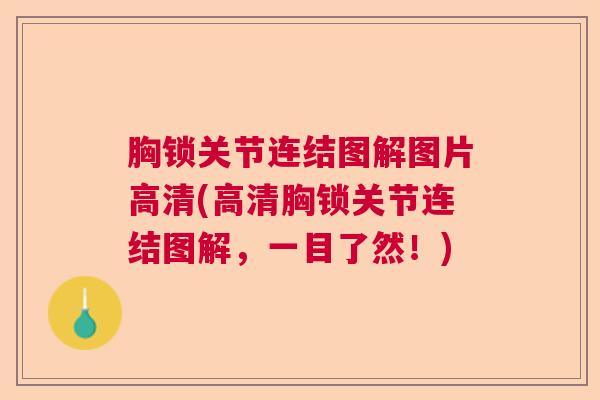 胸锁关节连结图解图片高清(高清胸锁关节连结图解,一目了然!)