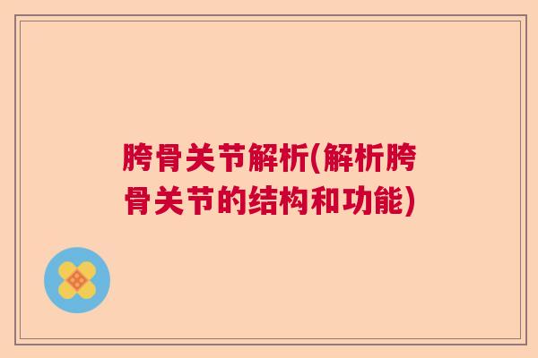 胯骨关节解析(解析胯骨关节的结构和功能)