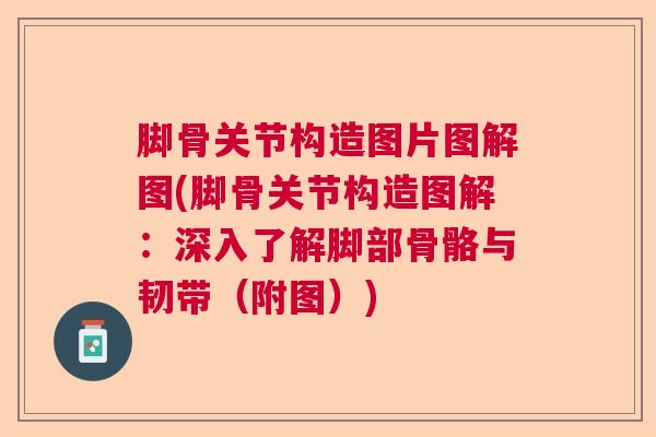 脚骨关节构造图片图解图(脚骨关节构造图解：深入了解脚部骨骼与韧带（附图）)
